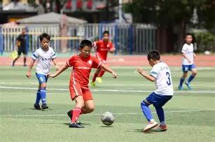 独家爆料,谢什科提前,回归在即,万博manbetx体育平台,万博体育官网,万博体育app下载,ManBetX,SPORTS