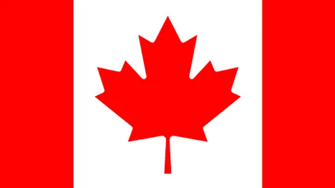 万博manbetx体育平台