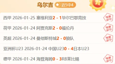 门兴德甲7胜5伤情分析，专家预测反弹策略